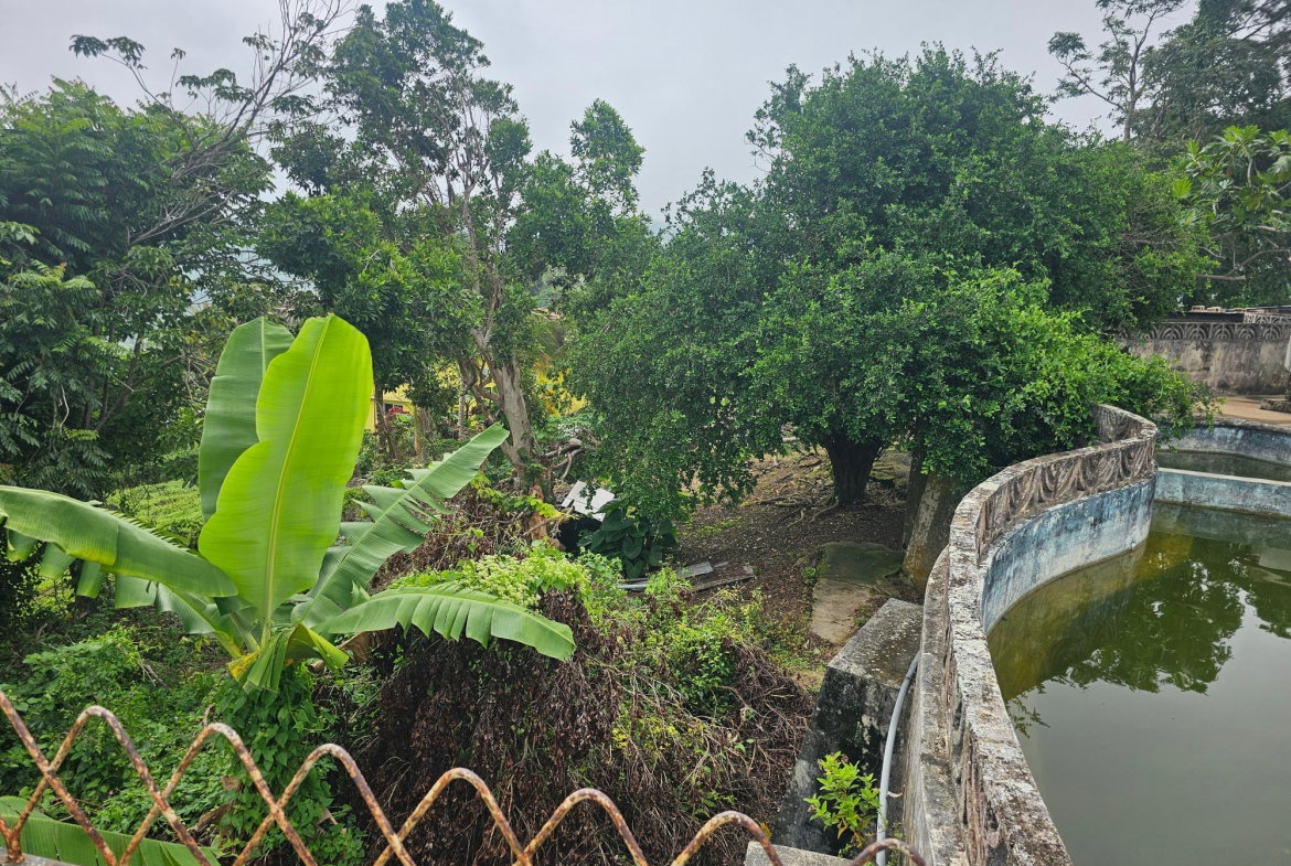 Seventh image of Matthew Hall in Browns Town, St. Ann, Jamaica - property is For Sale