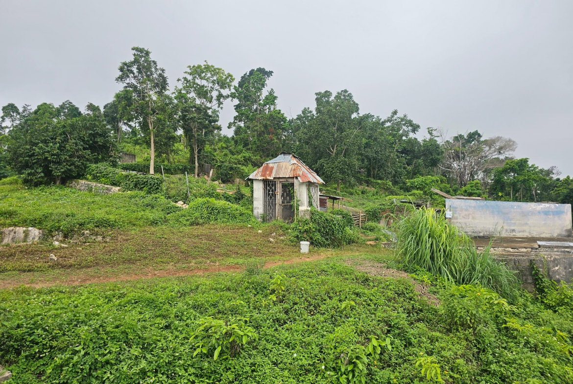 Ninth image of Matthew Hall in Browns Town, St. Ann, Jamaica - property is For Sale