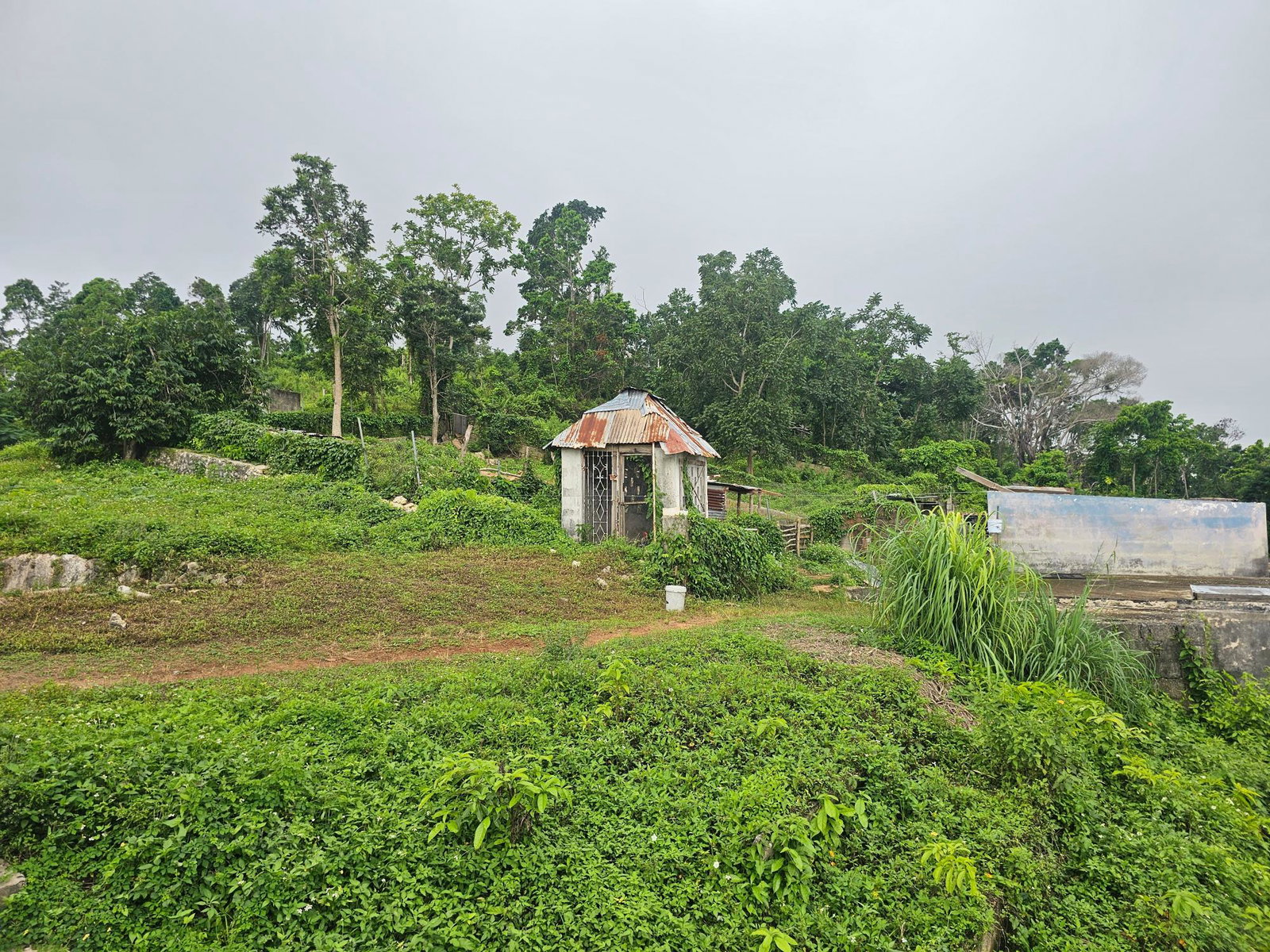 Ninth image of Matthew Hall in Browns Town, St. Ann, Jamaica - property is For Sale