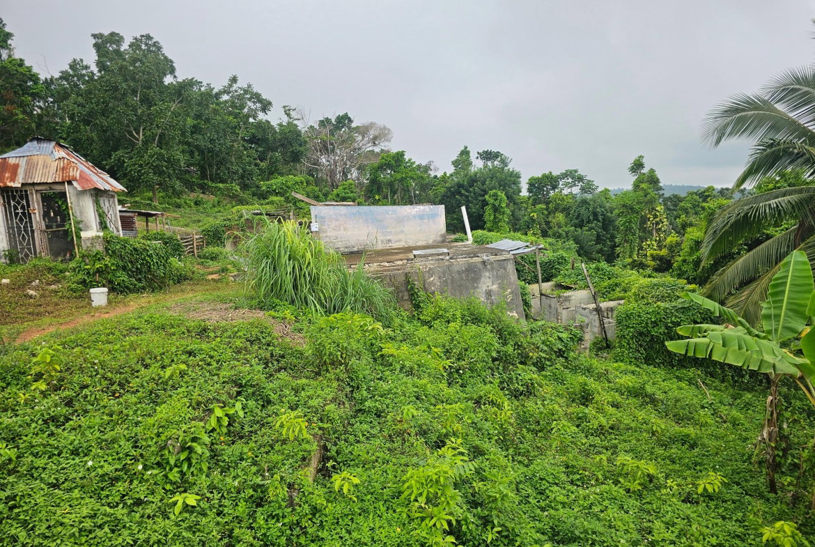 Tenth image of Matthew Hall in Browns Town, St. Ann, Jamaica - property is For Sale
