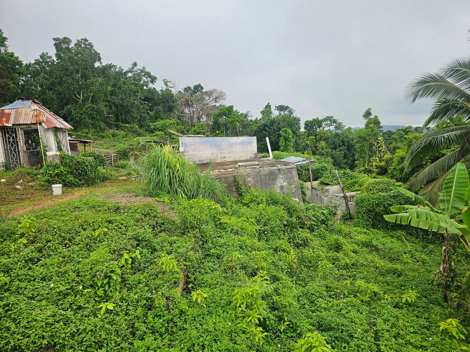 Tenth image of Matthew Hall in Browns Town, St. Ann, Jamaica - property is For Sale