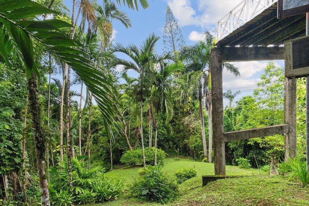 Eleventh image of 105 San San Estate in SAN SAN, Portland, Jamaica - property is For Sale