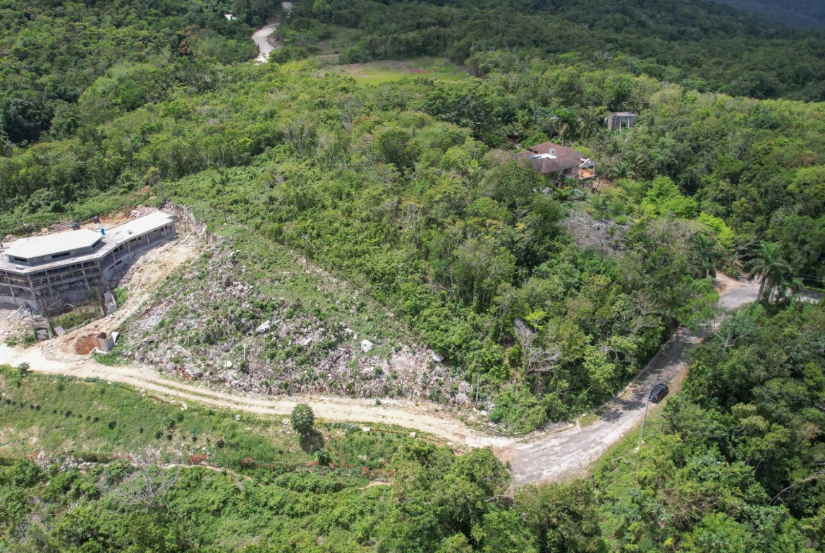 Second image of 31- Unity Hall in Unity Hall, St. James, Jamaica - property is For Sale