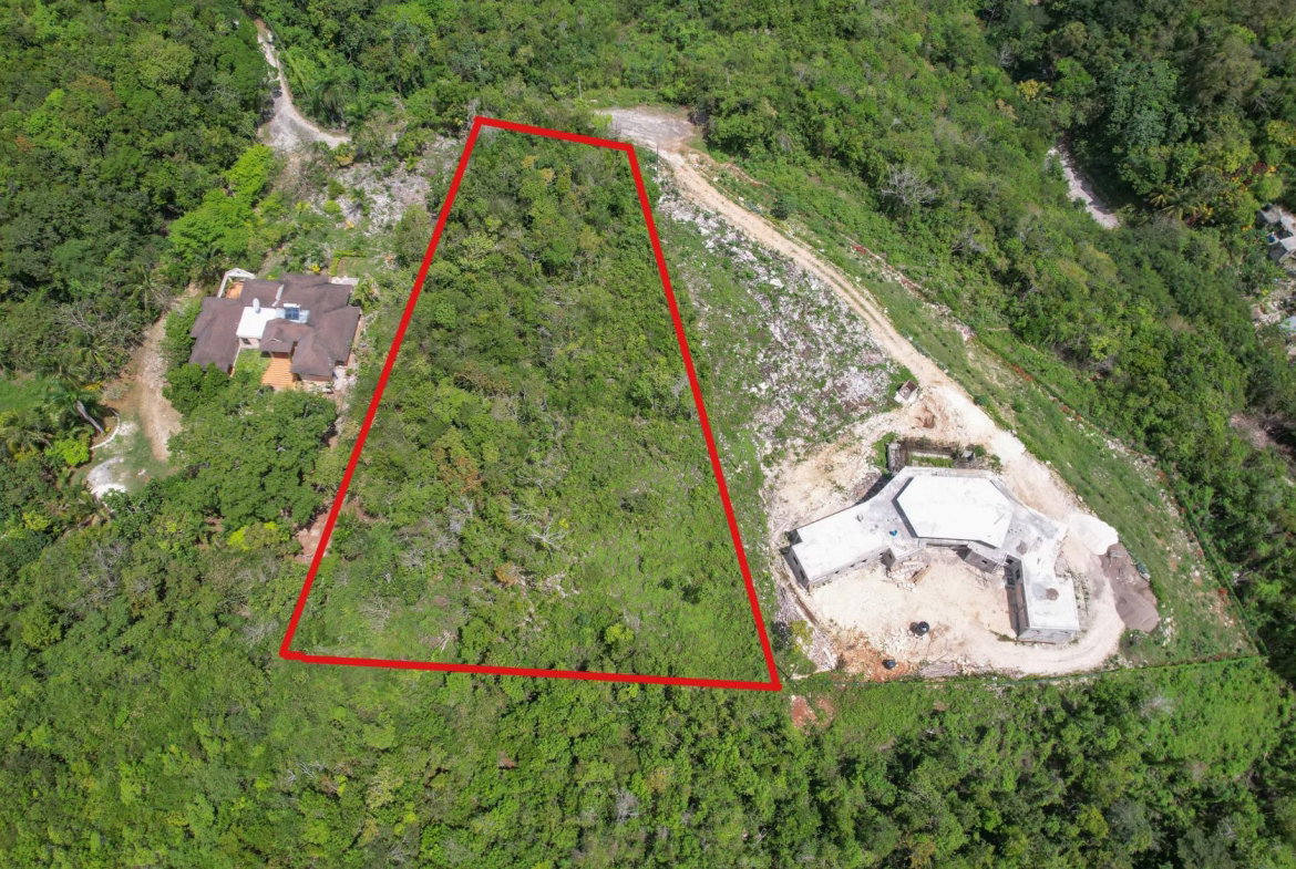 Third image of 31- Unity Hall in Unity Hall, St. James, Jamaica - property is For Sale