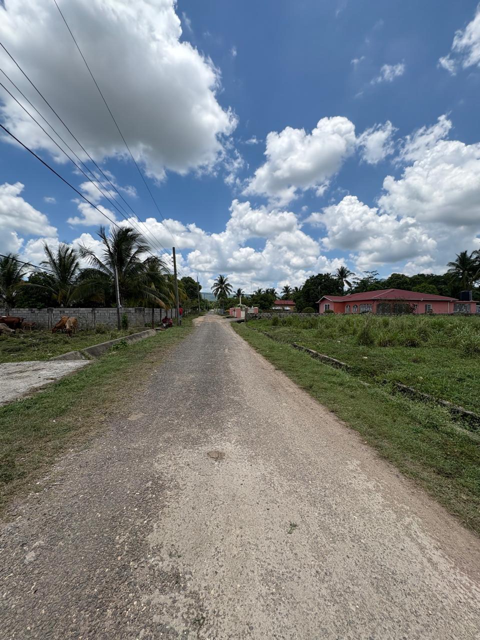 Fifth image of Toll Gate P.o , Clarendon in TOLLGATE, Clarendon, Jamaica - property is For Sale