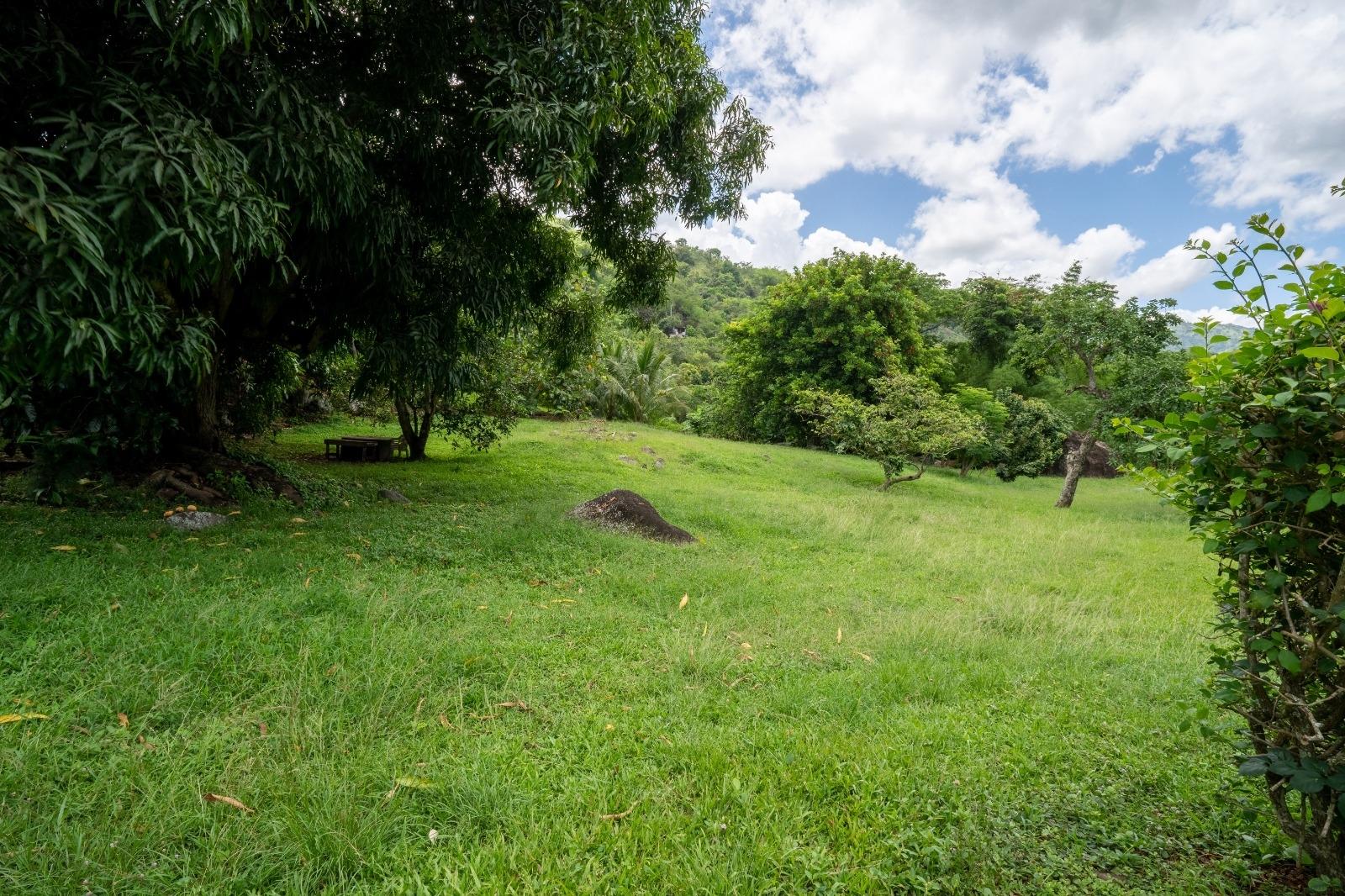 Eleventh image of Unity Grove, Mammie River in Gordon Town P.O., St. Andrew, Jamaica - property is For Sale