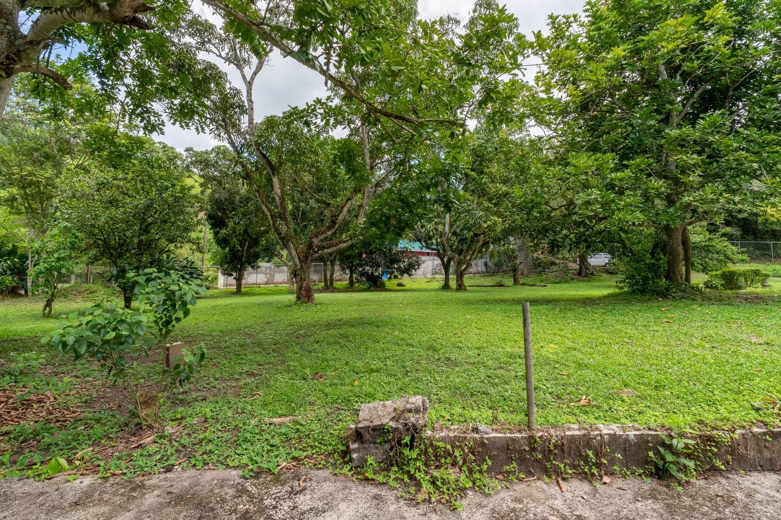 Twelfth image of Unity Grove, Mammie River in Gordon Town P.O., St. Andrew, Jamaica - property is For Sale