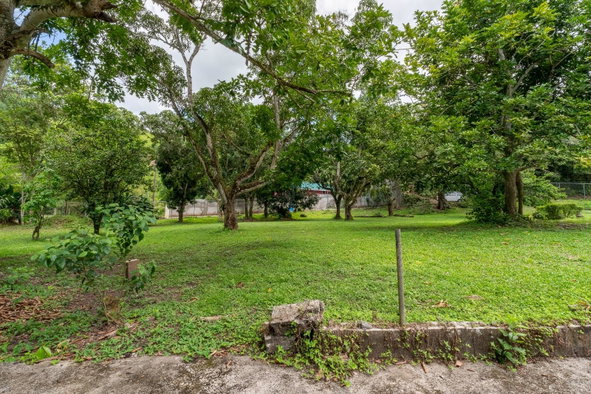 Twelfth image of Unity Grove, Mammie River in Gordon Town P.O., St. Andrew, Jamaica - property is For Sale