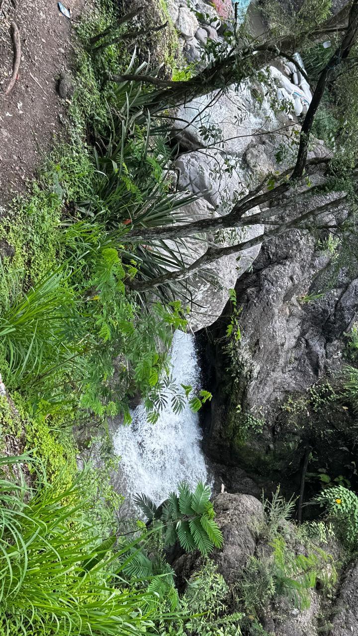 Ninth image of Unity Grove, Mammie River in Gordon Town P.O., St. Andrew, Jamaica - property is For Sale