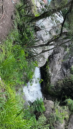 Ninth image of Unity Grove, Mammie River in Gordon Town P.O., St. Andrew, Jamaica - property is For Sale