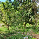 First image of Kerr Land , Hopeton po s in Retirement, St. James, Jamaica - property is For Sale