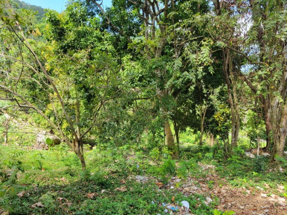 First image of Kerr Land , Hopeton po s in Retirement, St. James, Jamaica - property is For Sale
