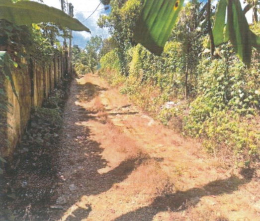 Second image of Land Part of Banbury in Linstead, St. Catherine, Jamaica - property is For Sale