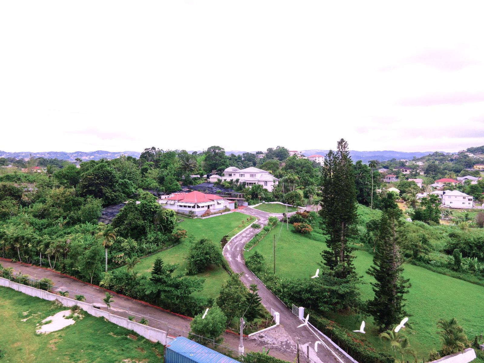 4.5-Acres-Residential-Development-Land-for-Sale-in-Brumaila-Mandeville-Manchester-Jamaica Fifth image of 25- New Green Road in Mandeville, Manchester, Jamaica - property is For Sale