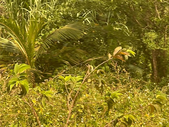 First image of 263-263 Top Hill Kitson Town in Guanaboa Vale, St. Catherine, Jamaica - property is For Sale