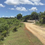 First image of Lot#3 Denbigh in Denbigh, Clarendon, Jamaica - property is For Sale