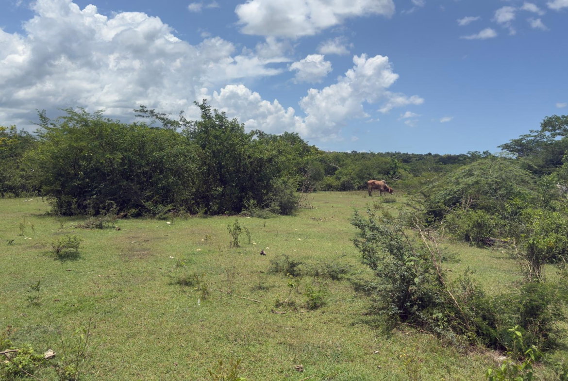 Third image of Lot#3 Denbigh in Denbigh, Clarendon, Jamaica - property is For Sale
