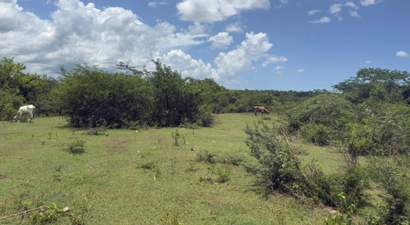 Third image of Lot#3 Denbigh in Denbigh, Clarendon, Jamaica - property is For Sale