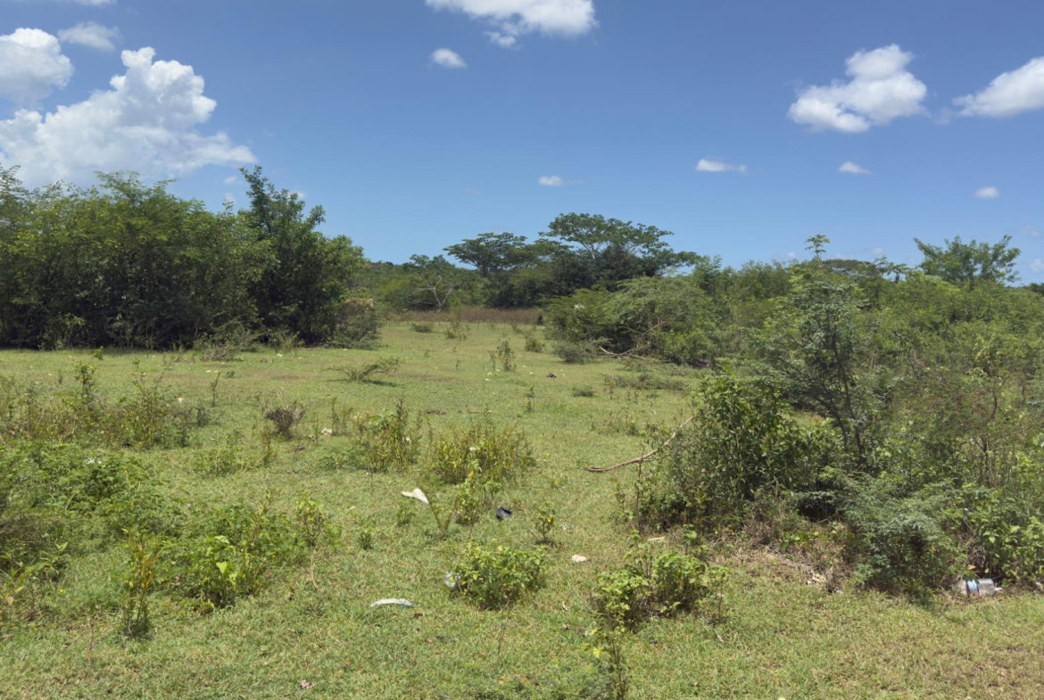Fourth image of Lot#3 Denbigh in Denbigh, Clarendon, Jamaica - property is For Sale