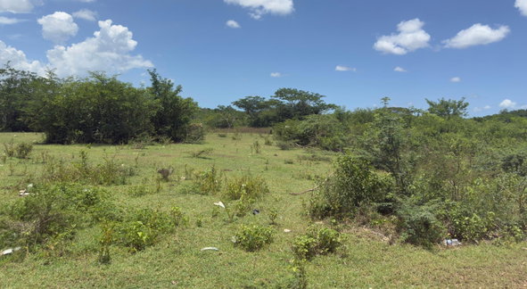 Fourth image of Lot#3 Denbigh in Denbigh, Clarendon, Jamaica - property is For Sale