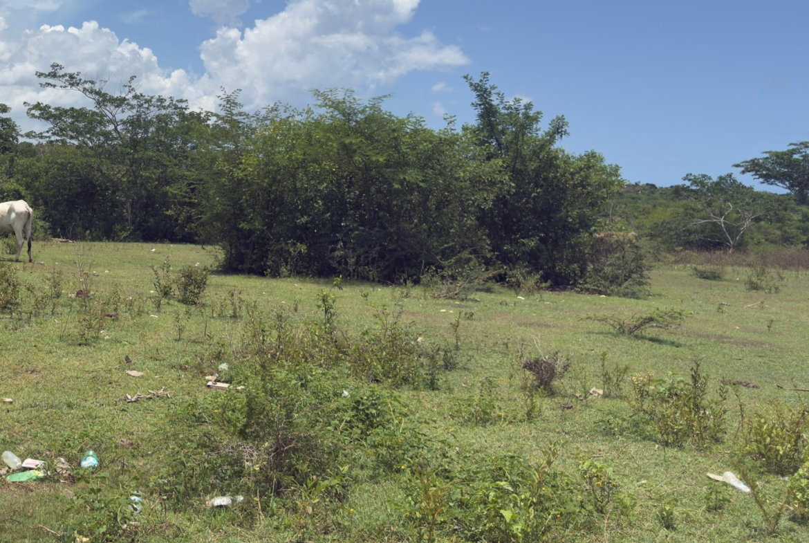 Fifth image of Lot#3 Denbigh in Denbigh, Clarendon, Jamaica - property is For Sale