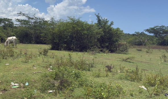 Fifth image of Lot#3 Denbigh in Denbigh, Clarendon, Jamaica - property is For Sale