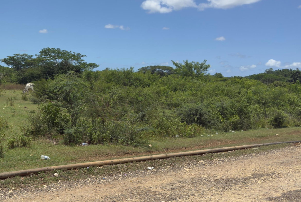 Sixth image of Lot#3 Denbigh in Denbigh, Clarendon, Jamaica - property is For Sale