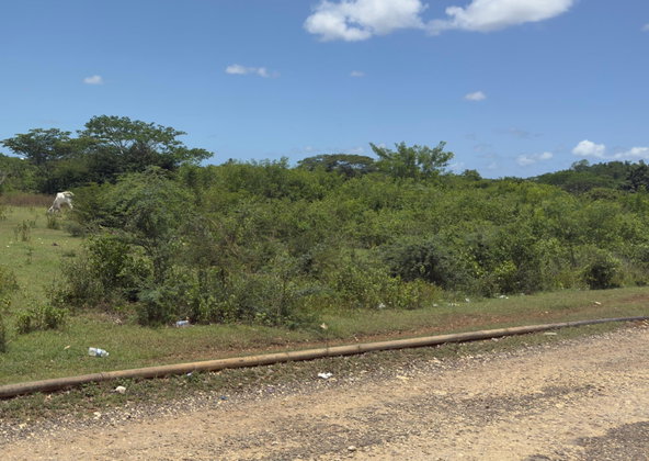 Sixth image of Lot#3 Denbigh in Denbigh, Clarendon, Jamaica - property is For Sale