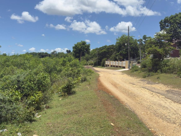 First image of Lot#3 Denbigh in Denbigh, Clarendon, Jamaica - property is For Sale