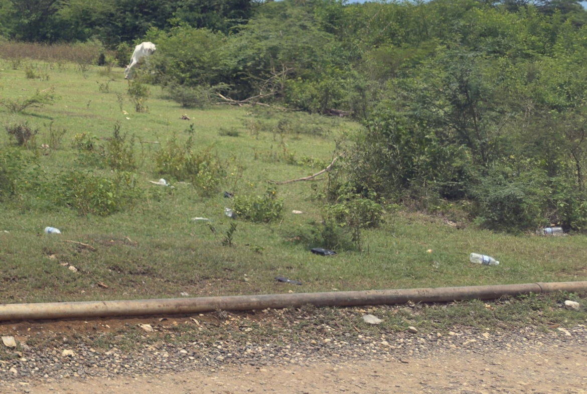 Seventh image of Lot#3 Denbigh in Denbigh, Clarendon, Jamaica - property is For Sale