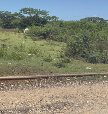 Seventh image of Lot#3 Denbigh in Denbigh, Clarendon, Jamaica - property is For Sale