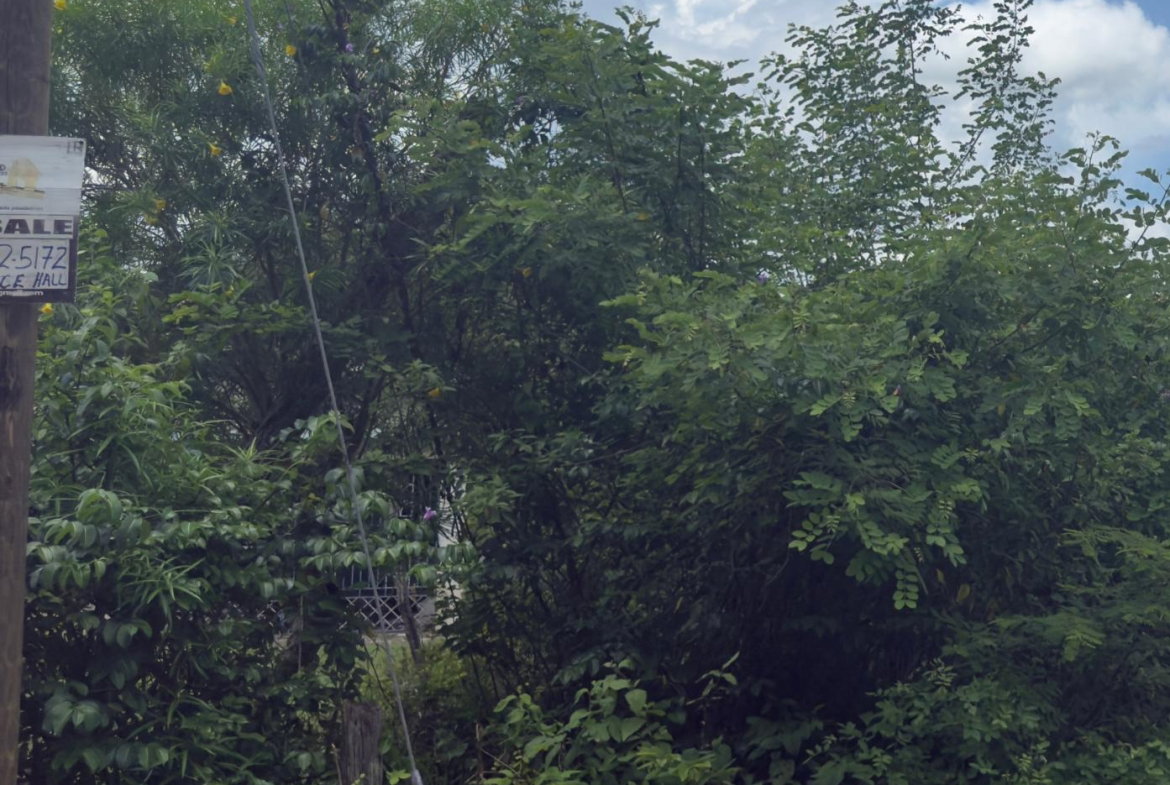 Eighth image of Lot#3 Denbigh in Denbigh, Clarendon, Jamaica - property is For Sale