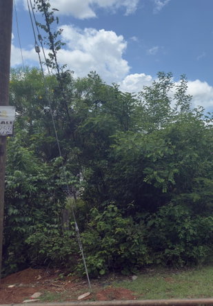 Eighth image of Lot#3 Denbigh in Denbigh, Clarendon, Jamaica - property is For Sale