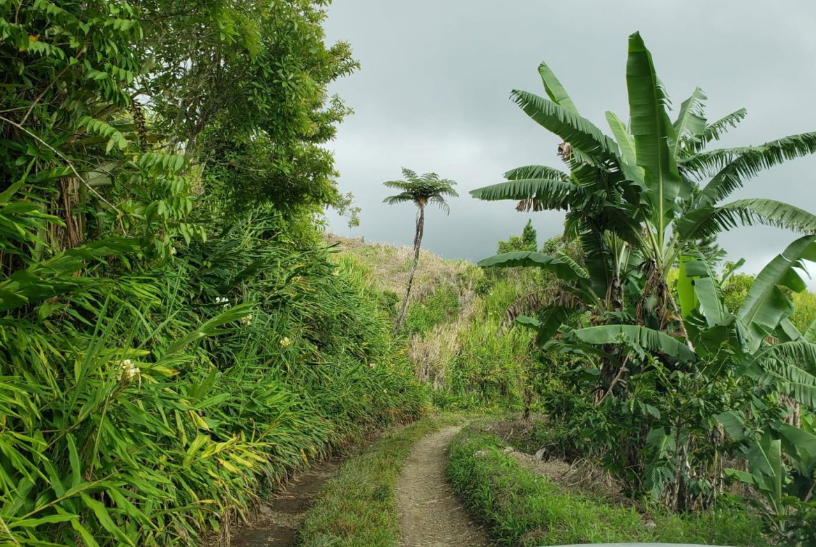First image of Wray Piece, Spring Hill in Spring Hill, Portland, Jamaica - property is For Sale