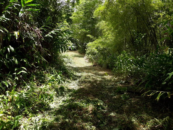 Twenty-Sixth image of Wray Piece, Spring Hill in Spring Hill, Portland, Jamaica - property is For Sale