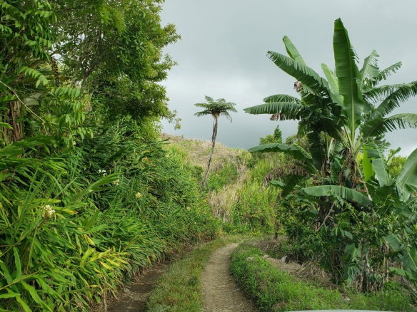 First image of Wray Piece, Spring Hill in Spring Hill, Portland, Jamaica - property is For Sale