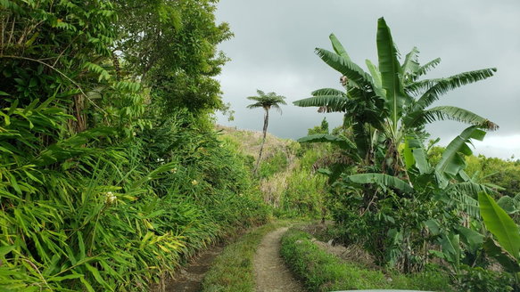 First image of Wray Piece, Spring Hill in Spring Hill, Portland, Jamaica - property is For Sale