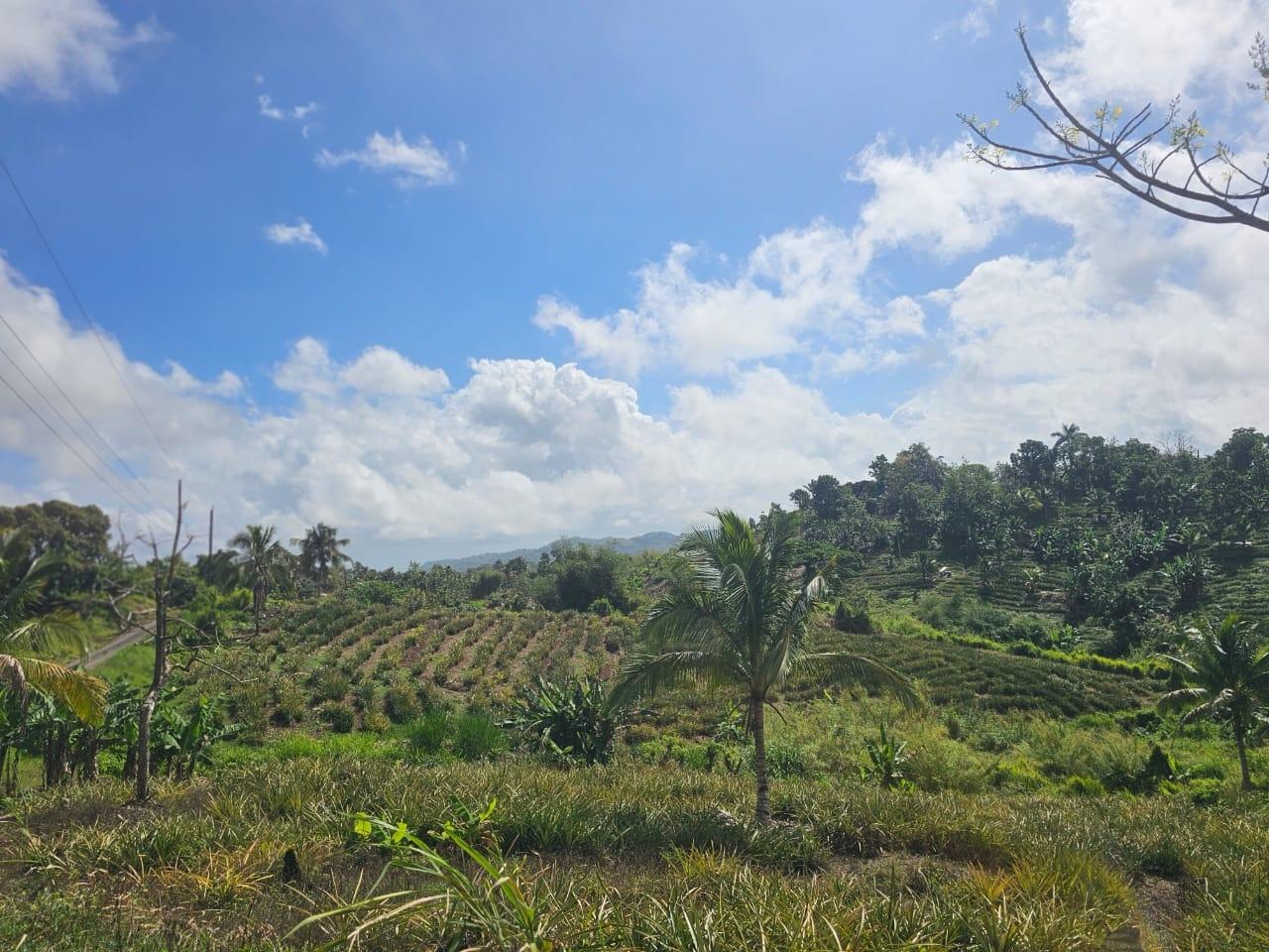 Second image of Tangle River, St.james in Tangle River, St. James, Jamaica - property is For Sale