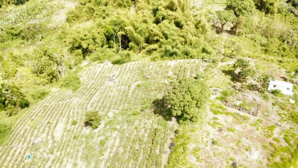 Eleventh image of Tangle River, St.james in Tangle River, St. James, Jamaica - property is For Sale