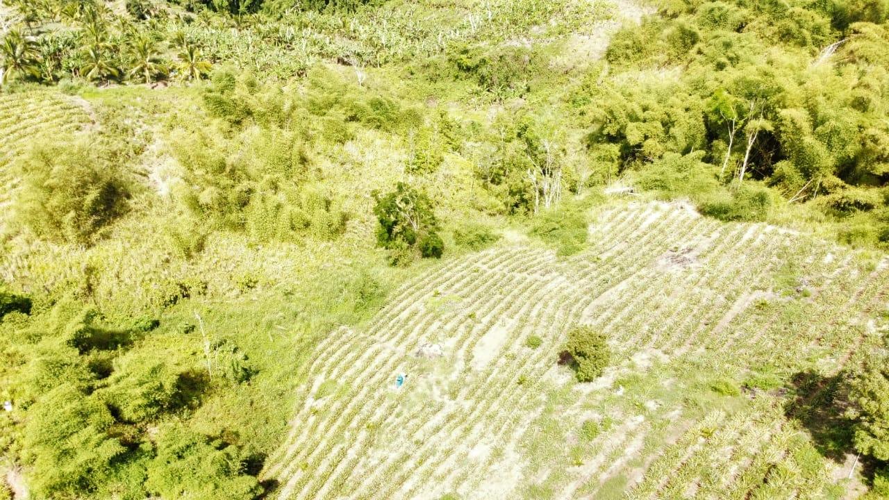 Twelfth image of Tangle River, St.james in Tangle River, St. James, Jamaica - property is For Sale