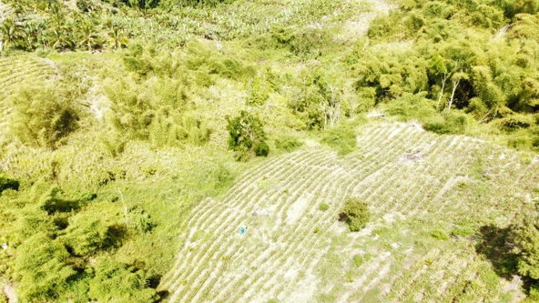 Twelfth image of Tangle River, St.james in Tangle River, St. James, Jamaica - property is For Sale