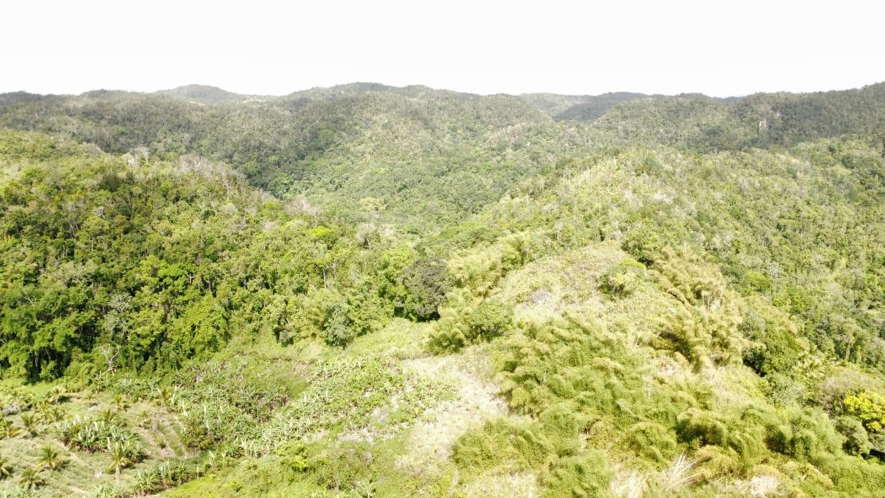 Thirteenth image of Tangle River, St.james in Tangle River, St. James, Jamaica - property is For Sale