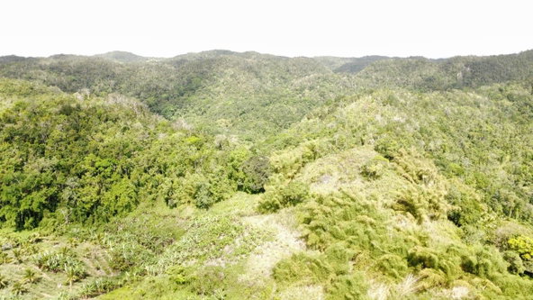 Thirteenth image of Tangle River, St.james in Tangle River, St. James, Jamaica - property is For Sale