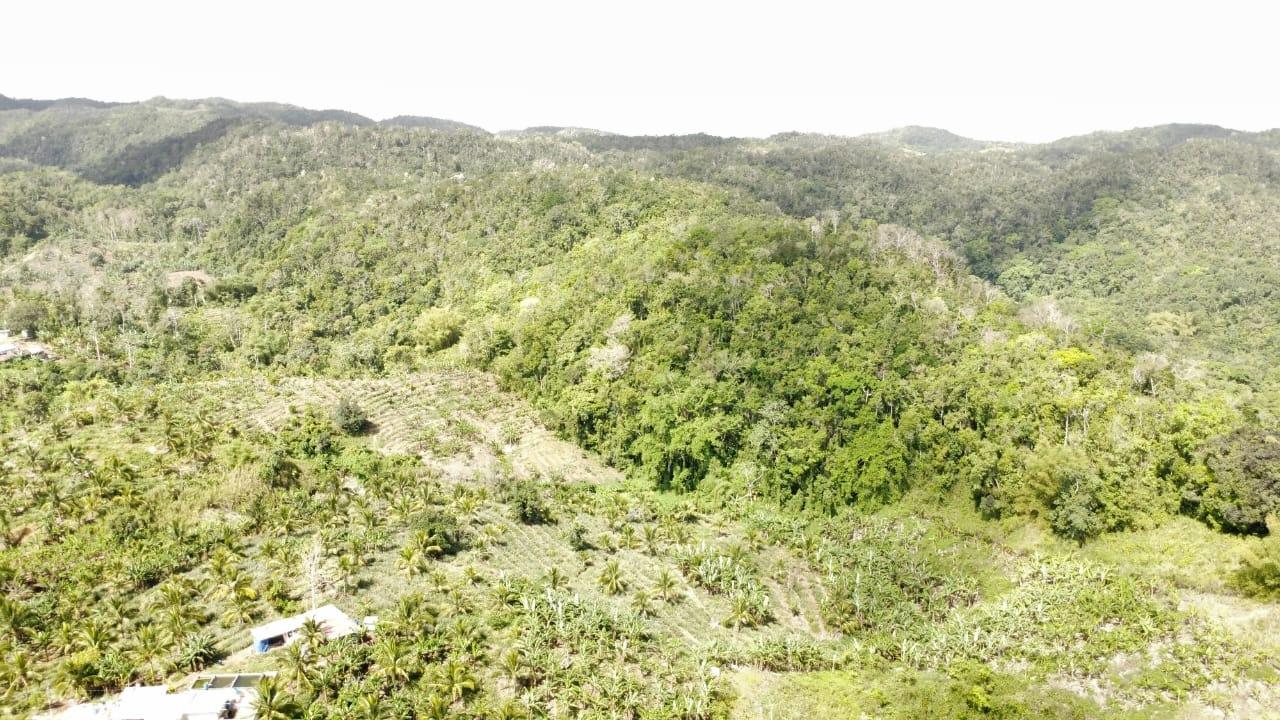 Fourteenth image of Tangle River, St.james in Tangle River, St. James, Jamaica - property is For Sale