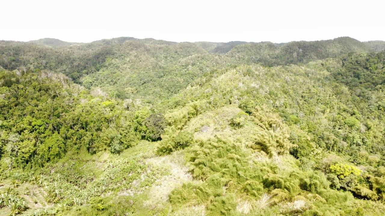 Fifteenth image of Tangle River, St.james in Tangle River, St. James, Jamaica - property is For Sale