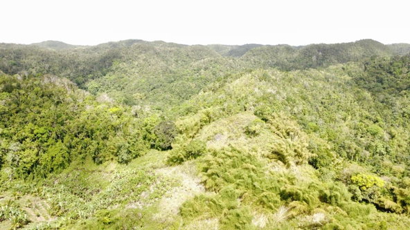 Fifteenth image of Tangle River, St.james in Tangle River, St. James, Jamaica - property is For Sale