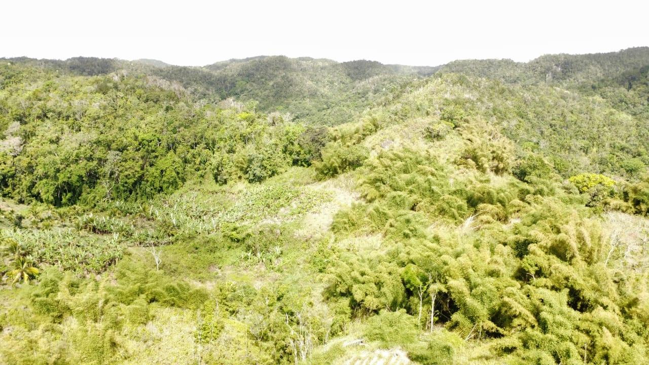 Sixteenth image of Tangle River, St.james in Tangle River, St. James, Jamaica - property is For Sale