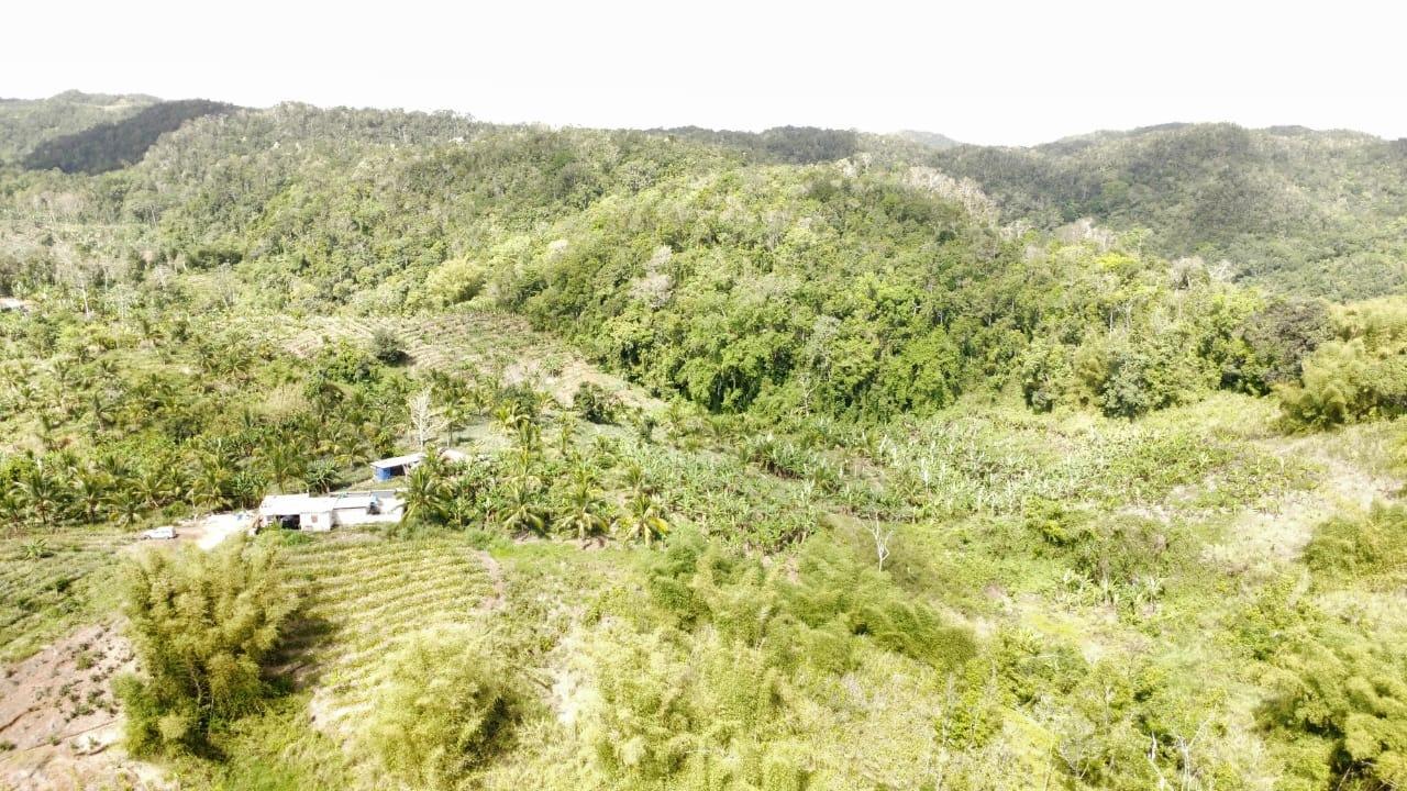 Seventeenth image of Tangle River, St.james in Tangle River, St. James, Jamaica - property is For Sale