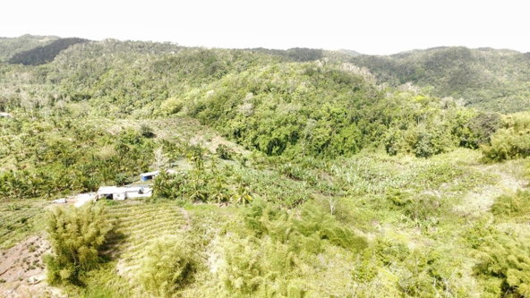 Seventeenth image of Tangle River, St.james in Tangle River, St. James, Jamaica - property is For Sale