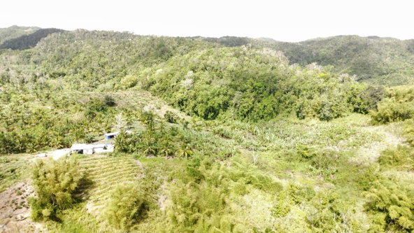 Eighteenth image of Tangle River, St.james in Tangle River, St. James, Jamaica - property is For Sale